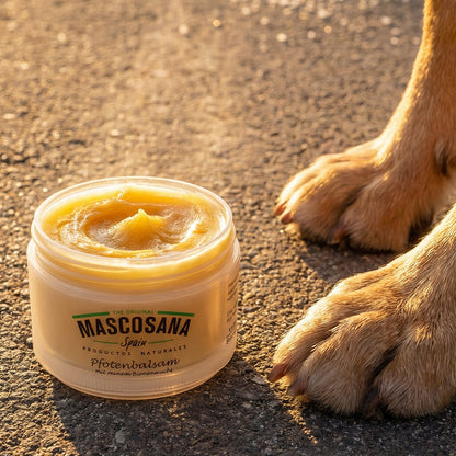Mascosana - Huf- und Pfotenbalsam für Hunde, Katzen & Pferde 80 ml - Naturprodukt mit reinem Bienenwachs